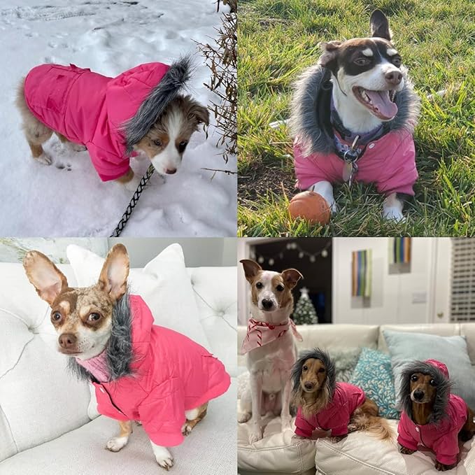 LESYPET Dog Coat for Small Dogs, Windproof Doggie Puffer Jacket with Leash Hole, Extra Warm Dog Jacket Winter Coat, Grey XL