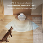 uahpet Wireless Cat Water Fountain Stainless Steel Pro, External Pump Battery Operated Pet Waterer, Dog Drinking Dispenser with Water Level Window, 67oz/2L