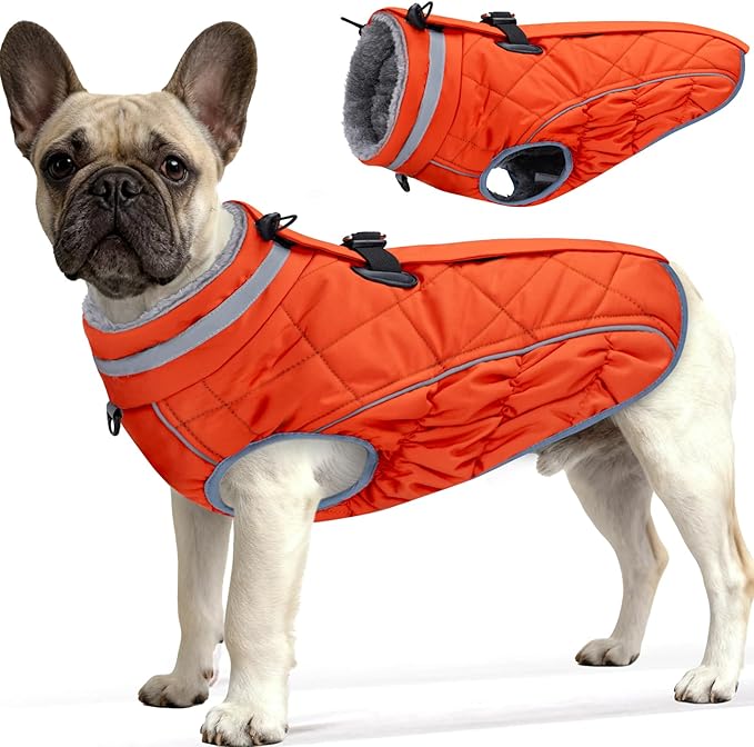 Dog Coat, Warm Dog Winter Coat for Small Dogs, Waterproof Jacket with Harness Built in, Reflective Turtleneck Cold Weather Coats with Zipper,Pet Fleece Vest Snow Jacket, Orange S