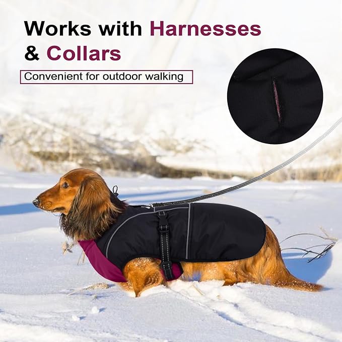 Lelepet Dachshund Coat Warm Dog Winter Coat Waterproof Dog Jacket with Fleece Lining, Reflective Outdoor Dachshund Snowsuit with Leash Hole Adjustable Neckline,Coats for Small Medium Dogs,Purple, XL