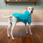 Basic Dog Hoodie Sweatshirts, Pet Clothes Hoodies Sweater with Hat and Leash Hole, Soft Cotton Outfit Coat for Small Medium Large Dogs, Royal Blue (XX-Large)