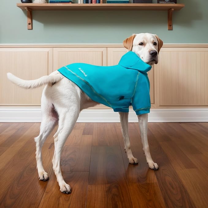 Basic Dog Hoodie Sweatshirts, Pet Clothes Hoodies Sweater with Hat and Leash Hole, Soft Cotton Outfit Coat for Small Medium Large Dogs, Royal Blue (Large)