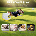 Automatic Ball Launcher for Dogs, Dog Ball Launcher with 6 ETPU 2.3” Balls, Adjustable Distance Thrower for Indoor & Outdoor Fetch Play, Interactive Pet Toy for Small & Medium Dogs