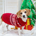 SCENEREAL Dog Sweaters for Small Dogs - Soft, Warm Turtleneck Small Dog Sweater, Ugly Knit Dog Christmas Outfits for Dachshund, Chihuahua, Pug, Yorkie,Winter Pet Clothes Male Female,Red