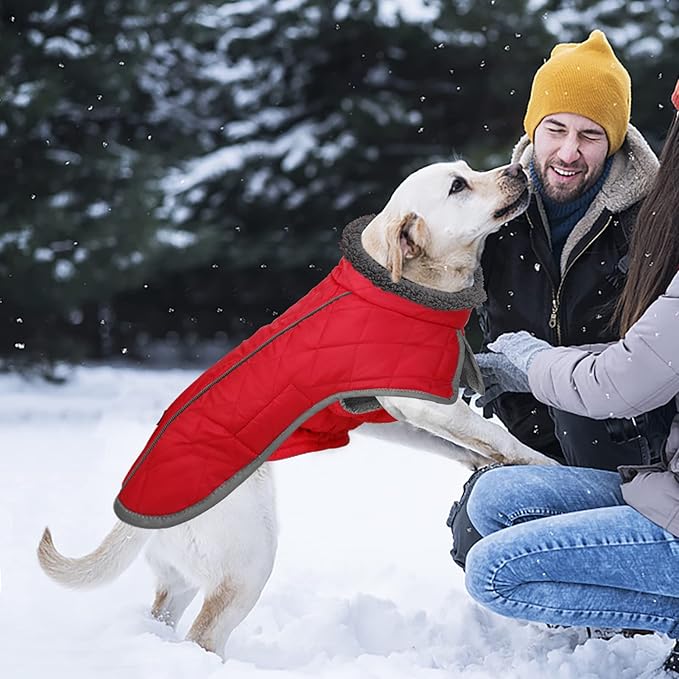 Fragralley Dog Coat Small, Waterproof Dog Jacket with Warm Fleece Lining, Adjustable Reflective Dogs Winter Coat, Turtleneck Pet Coats for Cold Weather (Red S)