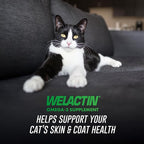 Welactin Omega-3 Skin and Coat Support, Liquid, 4 oz, Green