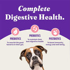 Halo Holistic Dog Food Wild Caught Salmon & Whitefish Formula, Healthy Grains Dry Dog Food, Complete Digestive Health, Kibble for Adult Dogs, 3.5 lb Bag