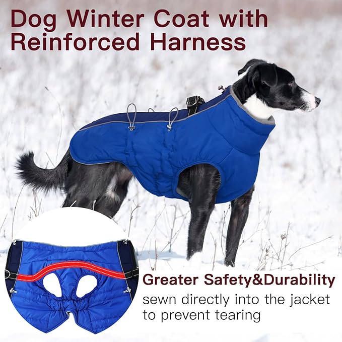 Small Dog Coat - Winter Jacket, Warm Zip Up Snowsuit, Reflective, Water-Resistant, Royal-Blue