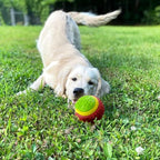 PetBox Soft Squeaky Rubber Toy Ball with Rattle Noise for Dogs - 3.2" Diameter