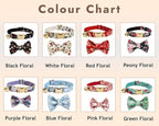 Personalized Cat Collar with Engraved Name and Phone Number - Customizable Kitten Collars for Girls (Floral Collar)
