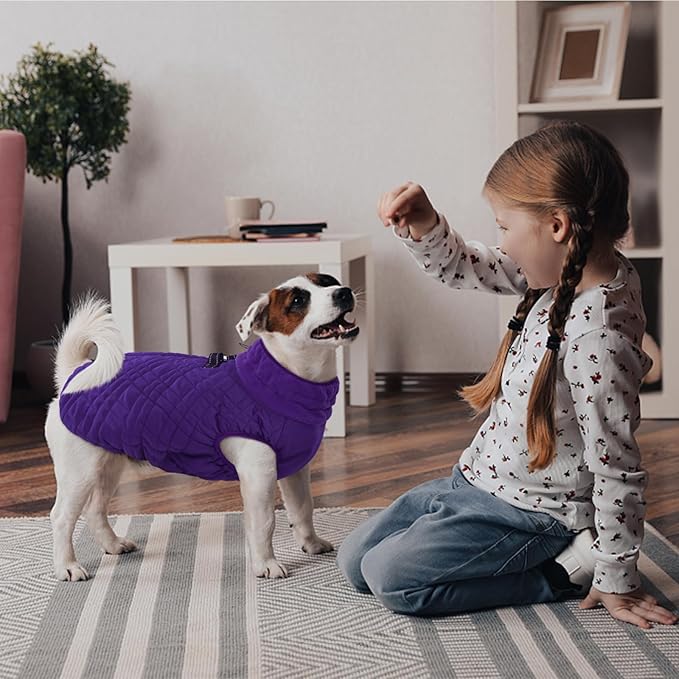 Kuoser XL Insulated Dog Vest | Big Breed Jacket for Huskies & Shepherds | Reinforced Seams Withstand Snow Play, Breathable, Purple XL
