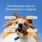 PetLab Co. ProBright Dental Powder - Dog Breath Freshener - Teeth Cleaning Made Easy – Targets Tartar & Bad Breath - Formulated for Large Dogs - Packaging May Vary