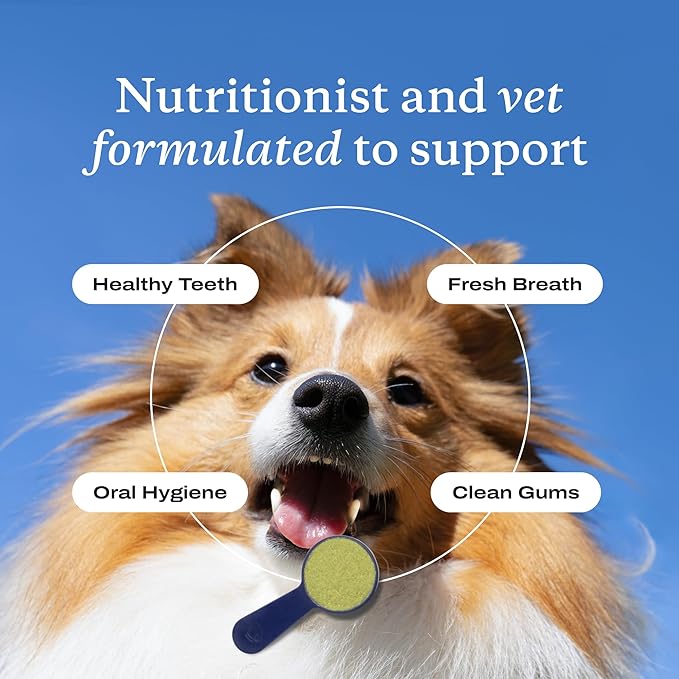 PetLab Co. ProBright Dental Powder - Dog Breath Freshener - Teeth Cleaning Made Easy – Targets Tartar & Bad Breath - Formulated for Large Dogs - Packaging May Vary