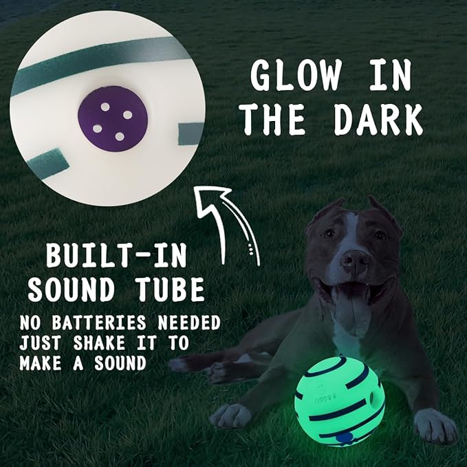 HYQ Glowing Interactive Dog Toy Ball - Squeaky for Small, Medium, Large Dogs and Puppies - Keeps Them Busy (Glow Ball, 2.75 Inch)