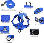 Escape Proof Cat Harness and Leash Set for All Types of Cats - Adjustable Reflective Soft Mesh Vest with 4 Buckles, Breathable Walking Harness for Kittens to XL Cats