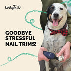 LuckyTail Pet Nail Grinder for Dogs and Cats - Super Quiet and Low Vibration Electric Dog Nail Grinder with 2 LED Lights - USB Rechargeable and Cordless - 2 Speeds - Small to Large Pets - Dark Blue