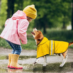 Dog Raincoat - Reflective Dog Rain Jacket with Hoodie Lightweight Waterproof Rain Coat for Small Medium Large Dogs (Medium, Yellow)