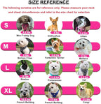 SOLMOONY Small Dog Harness,Soft Mesh Puppy Harness and Leash Set,No Escape Cat Harnesses for Training Walking,Reflective Adjustable Puppy Vest for Small Medium Dogs, Cats (Hot Pink, XL)