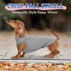 Dog Fleece Vest - Grey, L - Soft Warm Sleeveless Sweater | Stretchable Sweatshirt for Small Breeds, Lightweight for Outoor Walking, Dachshund Clothes, Mini Schnauzer