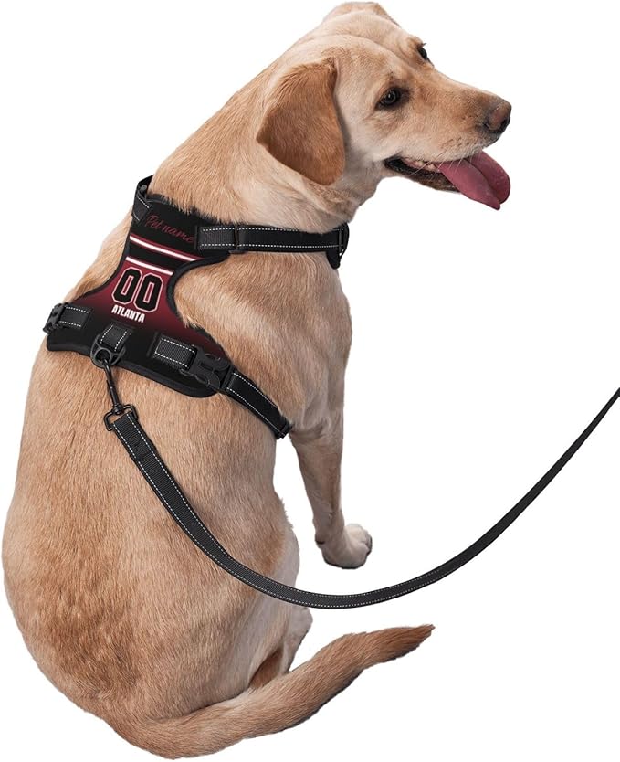 Custom Atlanta Dog Harness with Reflective Stripes Personalized Name and Number Dog Vest Harness with Pet Traction Rope for Small Medium Large Dog