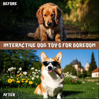 5 Pack Squeaky Toys with a Box, Funny Interactive Giggle Sound Plush Puppy Toys, Plush for Small to Medium Breed, Pet Chew Puppy Gift Dog Accessories