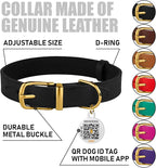 BRONZEDOG Leather Dog Collar with QR ID Tag Basic Pet Collars for Small Mini Dogs Cats Puppies (7-9 Inch (Pack of 1), Black & Gold Buckle)