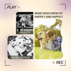 PTLSY Automatic Dog Ball Launcher - Interactive Puppy Thrower Machine for Small & Medium Dogs, 3 Balls (Inclusive of 2 inch) & White Launcher with 6pc Balls