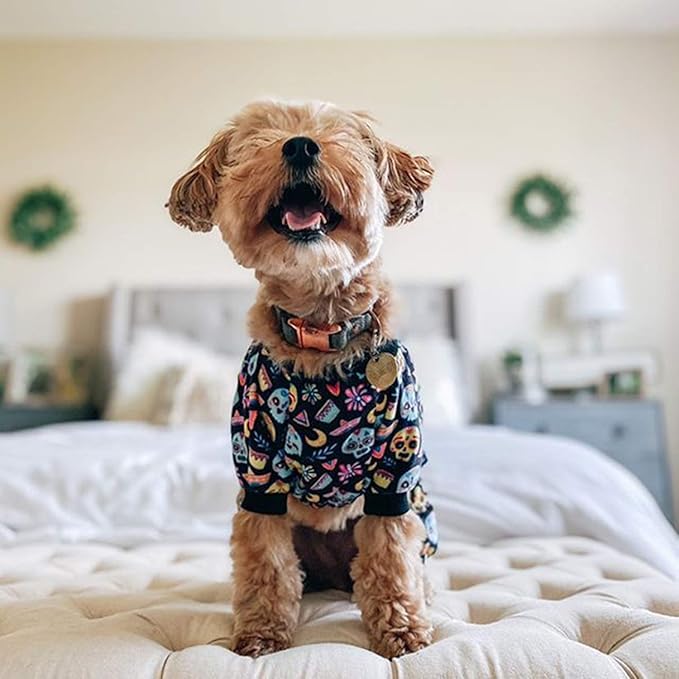 CuteBone Small Dogs Outfit Soft Puppy Onesies Pjs Dog Pajamas Pet Coat Cat Apparel Comfy Doggie Jumpsuit Bodysuit for All Seasons P73XS