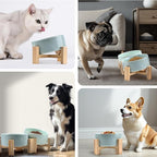 SPUNKYJUNKY 15° Slanted Ceramic Dog and Cat Bowl with Wooden Stand, Tilted Bulldog Food and Water Bowl No Slip Non-Spill for Cats Medium Dogs Big Face Pets 28.7 OZ (3.6 Cups, Morandi Green)