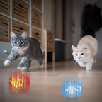 Jecery 5 Pcs Halloween Cat Spring Balls Toys Stretchable Rolling Balls Colorful Playful Coils Interactive Spring Action Toy Caged Rats for Kitten Cat Pet Supplies(Mouse,Multicolor,5 Pcs)