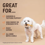 Earth Animal No Hide Stix - Long Lasting Rawhide Free Small Dog Chews Sticks, Pumpkin Spice - 20 Count Value Pack