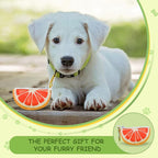 Grapefruit Shape Dog Poop Bag Holder and Carrier - Leash Attachment Poo Bag Dispenser with Stylish Cute Design,Grapefruit,Medium