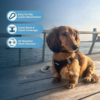 Voyager Step-In Air Dog Harness by Best Pet Supplies - All Weather Mesh Step in Vest Harness for Small and Medium Dogs, Black, size XL - Chest: 20.5 - 23"