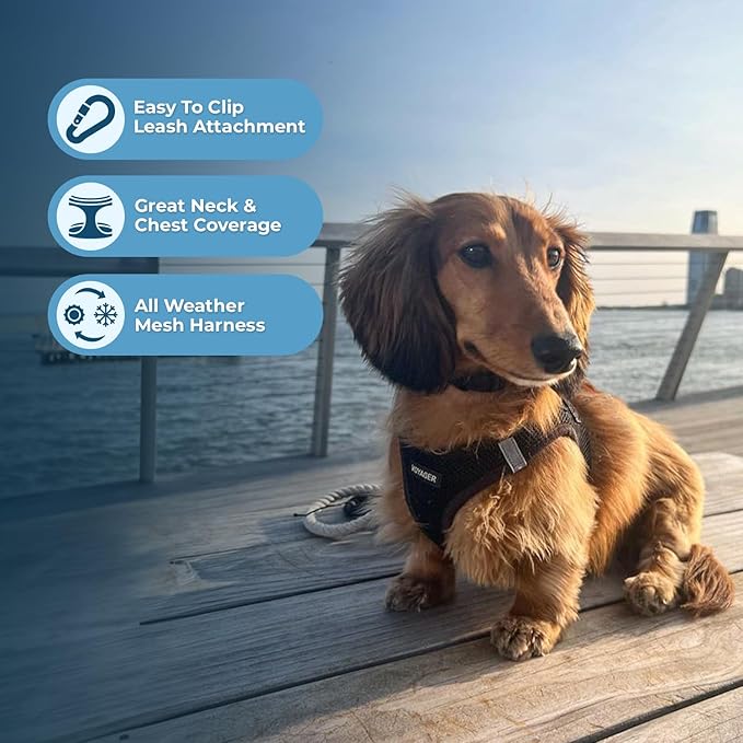 Best Pet Supplies Voyager Step-in Air Harness - All Weather Mesh, Reflective, No Pull Harness for Dogs, Cats - Secure with Hook & Loop Fastener, Buckle, Double D-Rings - Black, S