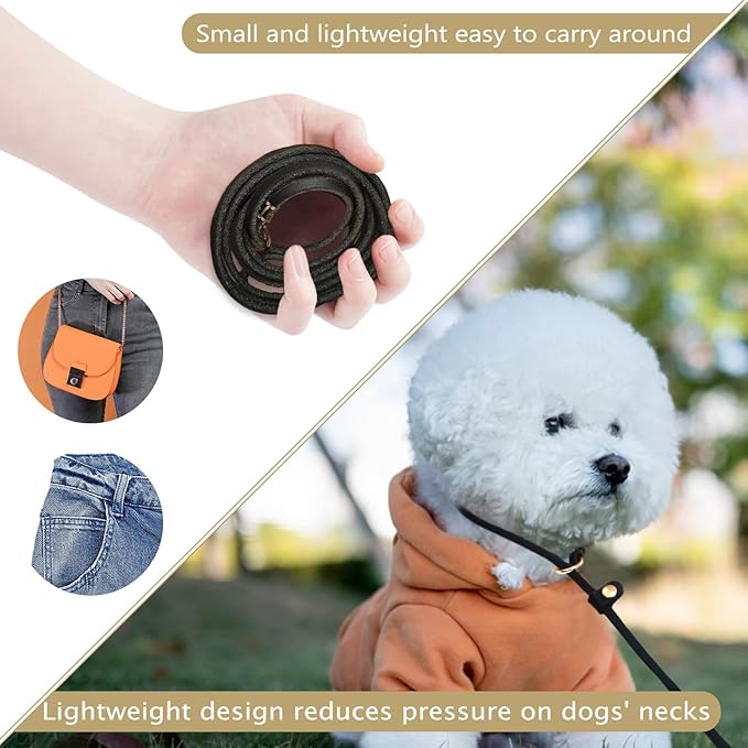 Guiding Star Leather Slip Lead Dog Leash for Small Dogs & Puppies 6 Ft x 1/4 Inch,Luxurious and Lightweight Leather Training Dog Leash for Walking with Soft Handle (Black)