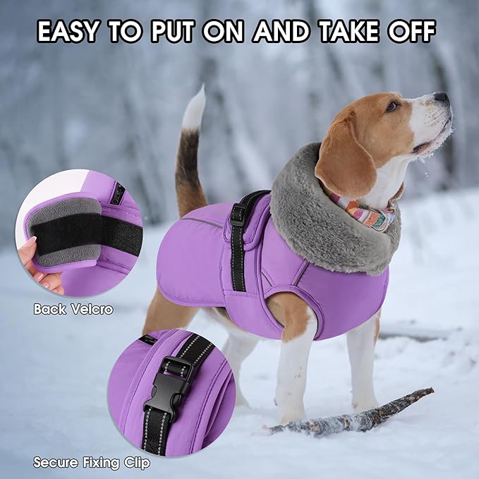 PETDSH Dog Coat Large, Windproof Dog Jacket with Warm Fleece Lining, Thickened Collar Dogs Winter Coat, Adjustable Reflective Pet Coats for Cold Weather (Purple, XXX-Large)