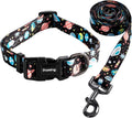 Ihoming Puppy Collar and Leash Set for Daily Outdoor Walking Running Training, Space Design for Extra Small Boys Girls Dogs Cats Pets, XS-Up to 10LBS