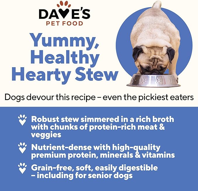Dave's Pet Food Stewlicoius Grain Free Wet Dog Food (Turkey & Sweet Potato in Gravy), Made in USA Naturally Healthy Canned, Gluten Free Topper, 13.2 oz (12 Pack)