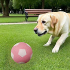 4 Pack Squeaky Balls for Dogs, 2.4 Inch Eco-Friendly Rubber Dog Squeaky Toy, Colorful Football Pattern Squeaky Toys for Dogs (Orange, Green, Pink, Light Blue)