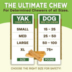 EcoKind Premium Gold Yak Cheese Himalayan Dog Chews, Healthy Dog Treats for Medium Dogs, All Natural, High Protein Dog Chew, Water Buffalo, Medium - 3 Chews