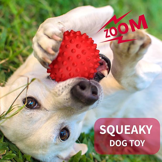 Apasiri Dog Balls Squeaky Dog Toys for Large Dogs, Dog Toys for Aggressive Chewers, Tough Spiky Dog Ball, Floatable Rubber Pet Toys for Medium Breed, Beef Flavor, Pack of 2
