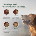 360 Pet Nutrition Freeze-Dried Raw Dog Food – Multi-Protein with Beef, Chicken, Fish, Liver & Organs, High Protein, Omega-3s, Fruits, Veggies & Superfoods, Grain-Free, No Fillers, 5 oz – Made in USA