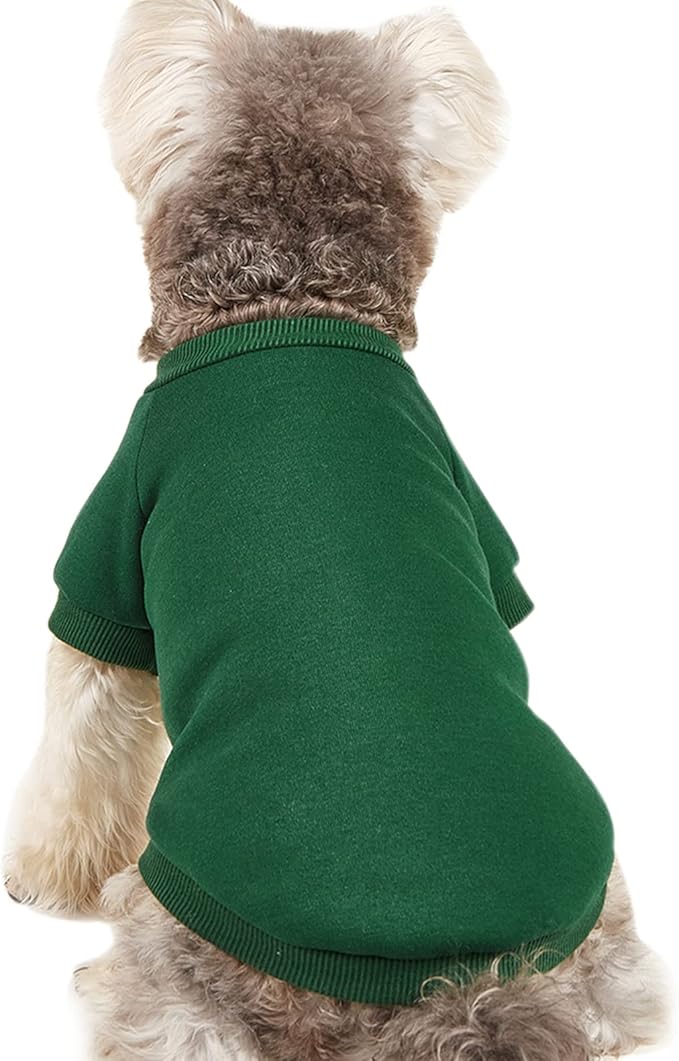 Puppy Sweater for Small Dogs Clothes Warm Winter Cat Clothe Pet Sweatshirt Knitwear Doggie Kitten Clothing, Green, Small