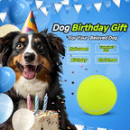 HETOO Giant Tennis Balls for Dogs: 9.5 inch Large Dog Toys- Outdoor Herding Dog Toys Balls- Big Dog Tennis Ball for Small Medium Large Dogs- Pet Toys Birthday Gift- Golden Retriever Gifts- Yellow