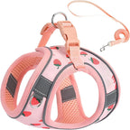 Step in Dog Harness and Leash Set, Flower Adjustable Easy Walk Puppy Harnesses, Soft Mesh No Pull Pet Vest Harness for Small Dogs and Cats(Strawberry, XS)