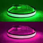 YFbrite Light up Dog Collar, USB Rechargeable LED Puppy Collar Super Bright Adjustable Glowing Dog Lights for Night Walking (Pink, Medium)