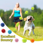 Swingers Squeaky Tennis Balls for Dogs,2.5 inch Training Tennis Balls,Exercise Ball for Pet Dog with Mesh Carry Bag Easy to Transport (Multicolor, 6 Pack)