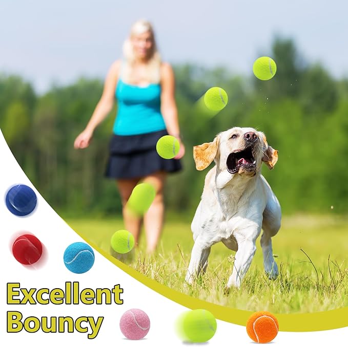 Swingers Squeaky Tennis Balls for Dogs,2.5 inch Training Tennis Balls,Exercise Ball for Pet Dog with Mesh Carry Bag Easy to Transport (Multicolor, 6 Pack)