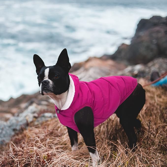Fleece Hoodie, Windproof Waterproof Coat, Winter Warm Jacket, Cold Weather Pet Apparel Clothes Vest for Small Medium Large Dogs (S, Pink)