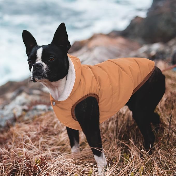 Fleece Hoodie, Windproof Waterproof Coat, Winter Warm Jacket, Cold Weather Pet Apparel Clothes Vest for Small Medium Large Dogs, Khaki, M